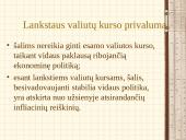 Valiutų kursų nustatymas 12 puslapis