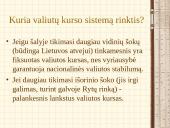 Valiutų kursų nustatymas 16 puslapis