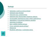 Valstybė ir jos biudžetas 2 puslapis