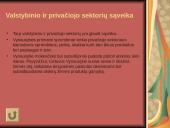 Valstybė ir jos biudžetas 11 puslapis