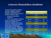 Valstybė ir jos biudžetas 13 puslapis