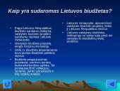 Valstybė ir jos biudžetas 14 puslapis