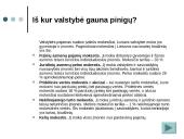 Valstybė ir jos biudžetas 17 puslapis