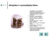 Valstybė ir jos biudžetas 18 puslapis