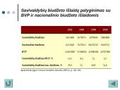 Valstybė ir jos biudžetas 19 puslapis