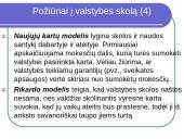 Valstybės skola ir jos atsiradimas 7 puslapis