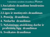 Lietuvos Respublikos valstybinis socialinis draudimas (VSD) 2 puslapis