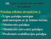 Lietuvos Respublikos valstybinis socialinis draudimas (VSD) 12 puslapis