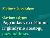 Lietuvos Respublikos valstybinis socialinis draudimas (VSD) 20 puslapis