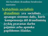 Lietuvos Respublikos valstybinis socialinis draudimas (VSD) 3 puslapis