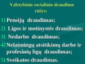 Lietuvos Respublikos valstybinis socialinis draudimas (VSD) 4 puslapis