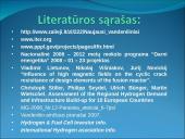 Vandenilio energija 19 puslapis