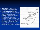 Vandens apytaka, antropogeninis poveikis ir gamtinių išteklių panaudojimas 13 puslapis