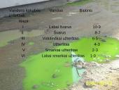 Vanduo ir jo tarša 15 puslapis