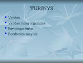 Vanduo skaidrės 2 puslapis