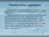 Vanduo skaidrės 4 puslapis