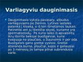 Varliagyviai ir jų charakteristika 3 puslapis