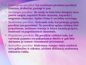 Vartotojo elgsena ir vartotojo elgsenos veiksniai 11 puslapis