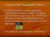 Vegetatyvinis dauginimasis ir jo įvairovė 4 puslapis