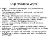 Vėjo energetikos privalumai ir trūkumai 2 puslapis