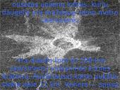 Veneros planeta 4 puslapis