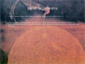 Paslaptingoji Venera  17 puslapis