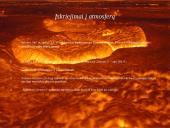 Paslaptingoji Venera  18 puslapis