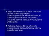 Verslo etika ir reklama 13 puslapis