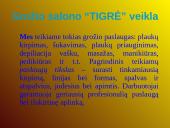 Verslo planas: grožio salonas "Tigrė" 2 puslapis