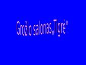 Verslo planas: grožio salonas "Tigrė" 11 puslapis