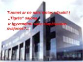 Verslo planas: grožio salonas "Tigrė" 15 puslapis