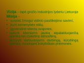 Verslo planas: grožio salonas "Tigrė" 3 puslapis