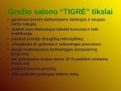 Verslo planas: grožio salonas "Tigrė" 5 puslapis