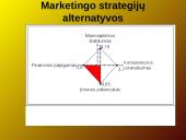 Verslo planas: grožio salonas "Tigrė" 7 puslapis