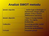 Verslo planas: grožio salonas "Tigrė" 8 puslapis