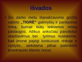 Verslo planas: grožio salonas "Tigrė" 9 puslapis