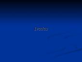 Verslo planas: kaimo turizmo sodyba "Dubysa" 2 puslapis