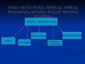 Verslo planas: kaimo turizmo sodyba "Dubysa" 12 puslapis