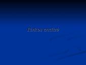 Verslo planas: kaimo turizmo sodyba "Dubysa" 15 puslapis