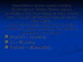 Verslo planas: kaimo turizmo sodyba "Dubysa" 16 puslapis