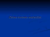 Verslo planas: kaimo turizmo sodyba "Dubysa" 20 puslapis