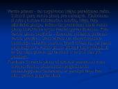 Verslo planas: kaimo turizmo sodyba "Dubysa" 3 puslapis