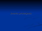 Verslo planas: kaimo turizmo sodyba "Dubysa" 4 puslapis