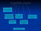 Verslo planas: kaimo turizmo sodyba "Dubysa" 8 puslapis