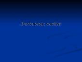 Verslo planas: kaimo turizmo sodyba "Dubysa" 9 puslapis