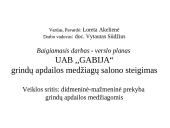 Verslo planas: UAB "Gabija". Grindų apdailos medžiagų salono steigimas