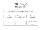 Verslo planas: UAB "Gabija". Grindų apdailos medžiagų salono steigimas 2 puslapis
