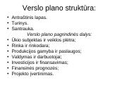 Verslo plano struktūra, pagrindinės dalys ir priedai 2 puslapis