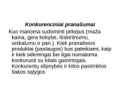 Verslo plano struktūra, pagrindinės dalys ir priedai 11 puslapis