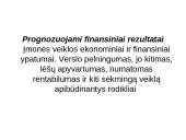 Verslo plano struktūra, pagrindinės dalys ir priedai 12 puslapis